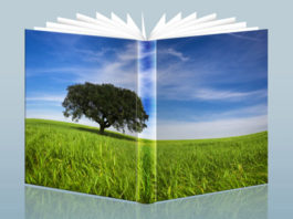 Libri fotografia 295 0 Libri di fotografia